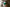 Image to render