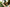 Image to render